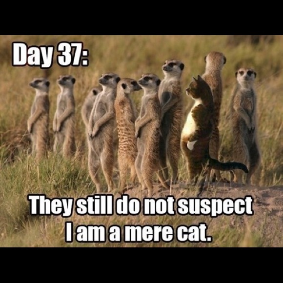 GAME CLOSED PLS LIKE NEW LISTING⬅️TY!😃 - Picture 16 of 16